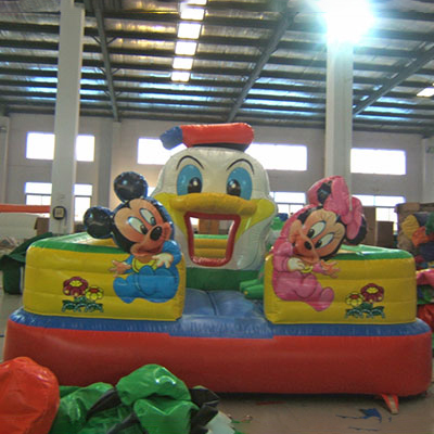 Little Duck Inflatable Paradise 4x5