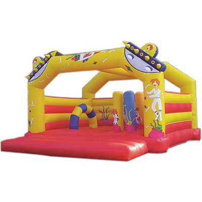 Pretty Inflatable Bouncers