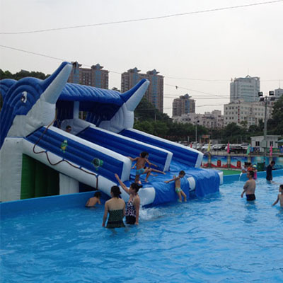 LWPA1006 Dolphin Inflatable Water Slides